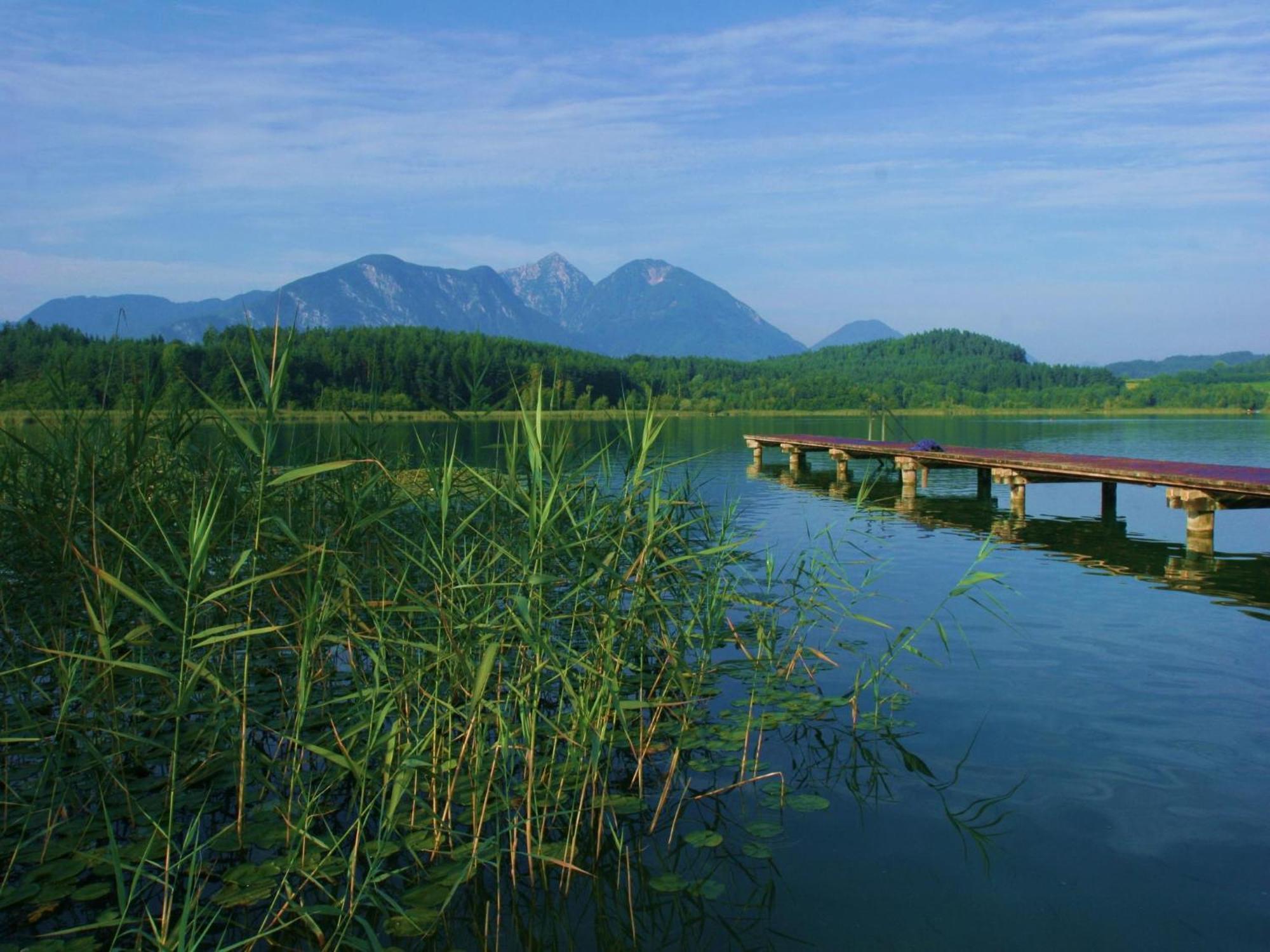 Ilsenhof Am Turnersee Obersammelsdorf Ngoại thất bức ảnh