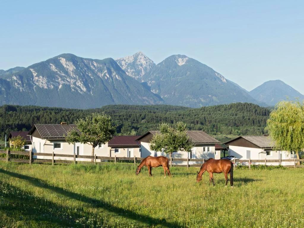 Ilsenhof Am Turnersee Obersammelsdorf Ngoại thất bức ảnh